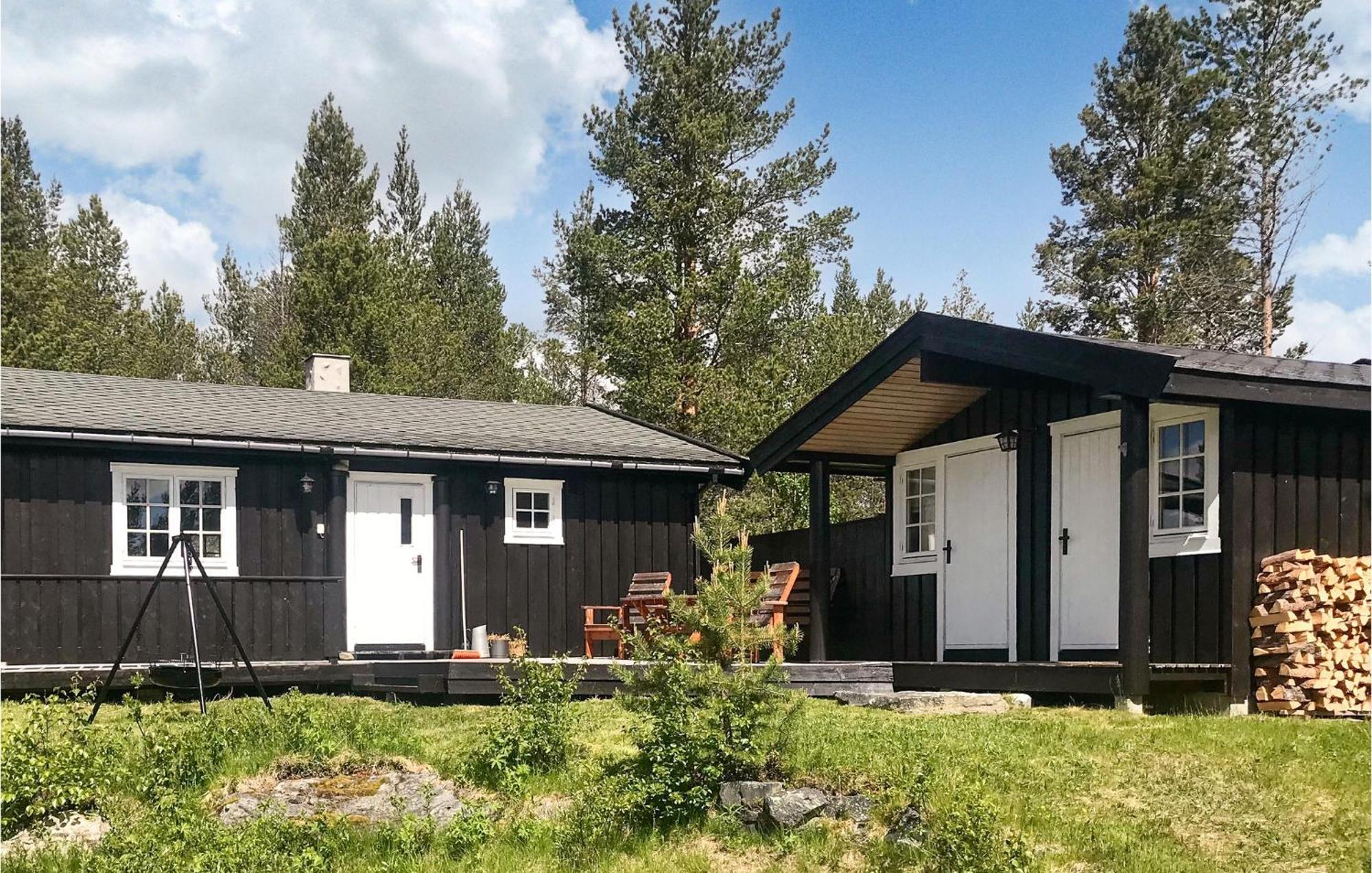 3 Bedroom Cozy Home In Røros Exteriör bild